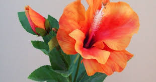 Sale yellow flower spray was: Artificial Hibiscus Flower And Bud Orange Artificial Flowers