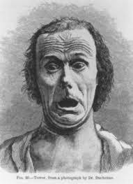 Susan Buck-Morss — Texts — Aesthetics and Anaesthetics, Part II