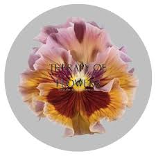 Image result for eustoma flamenco