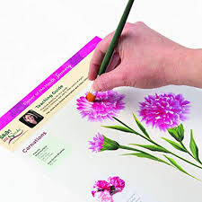 Check spelling or type a new query. Folkart One Stroke Donna Dewberry Flowers Of The Month Let S Paint Kit Pricepulse