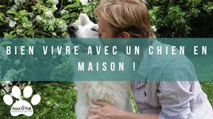 Vivre Avec Un Chien Dans Un Maison Presente De Nombreux Avantages Mais Peut Entrainer Quelques Ennuis En Cas D Aboiement Trop Reguliers Ou E Chien Vivre Poil