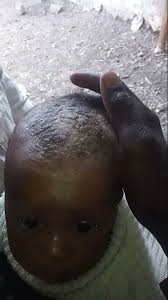 APOSTLE PETER COMMANDER