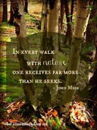 Seeking Amidst The Birches An Extraordinary Day Nature Quotes John Muir Quotes Into The Woods Quotes