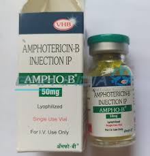 Buy low price ambilon liposomal amphotericin b 50mg injection in shahibaug, ahmedabad. Amphotericin B Ampho B