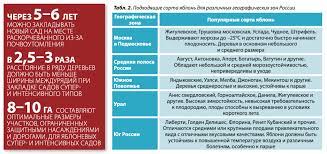 Урожайность яблоневого сада на подвое М9