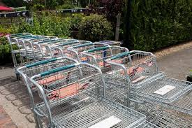 Republic Of Ireland Garden Centres And Homebase To Close After Coronavirus Threat Grows Horticulture Week