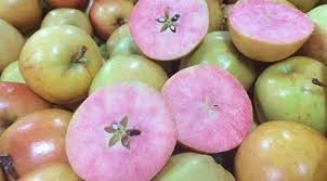 Check spelling or type a new query. Surprize Buah Apel Jenis Baru Dengan Daging Buah Warna Pink Lifestyle Fimela Com