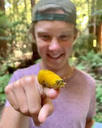 Gus Benson (@gustafer_gloop) • Instagram photos and videos