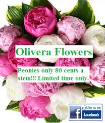 Last minute hotels in west palm beach. Olivera Flowers 6901 Nw 46th St Miami Fl 2021