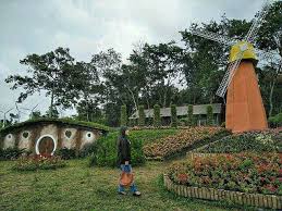 Rute Lokasi Dan Harga Tiket Wisata Taman Bunga Celosia Semarang Kebun Bunga Taman Bunga