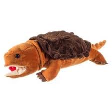 Bass Pro Shops Snapping Turtle Turtle Bass Pro Shops