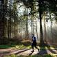 Ultra X Spring Trail Series event image