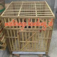 Telur, daging, hingga kotorannya dapat kita manfaatkan dan pertumbuhannya pun tidak membutuhkan waktu lama. Kandang Bambu Knock Down Kandang Kotak Ayam Unggas Hewan Lainnya Shopee Indonesia