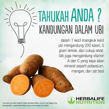 Dianadnan Goherbalife Com Herbalife Obat Alami Kesehatan