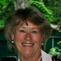 Cathleen Patricia Ryan Schmitz Obituary (2024)