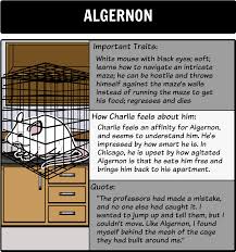 The story of a mentally disabled man whose experimental quest for intelligence mirrors that of algernon, an extraordinary lab mouse. Flowers For Algernon Character Map As Students Read A Storyboard Can Serve As A Helpful Character Re Flowers For Algernon Teacher Guides Summary Activities
