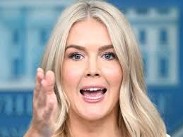 Elon Musk Reinstates Babylon Bee, Jordan Peterson, and Kathy Griffin's  Twitter Accounts