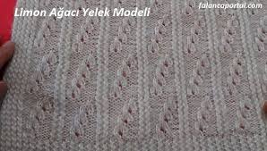 Modelo De Colete De Arvore De Limao Crochet Blanket Crochet Blanket