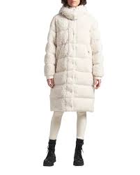 Image result for Hainardia