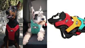 Check spelling or type a new query. Holiday Gift Guide Best Dog Accessories For 2020 Dogtime