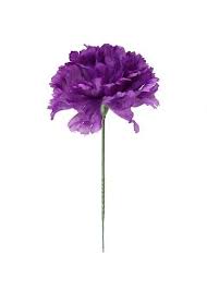 3.7 out of 5 stars 5. Case Of 100 Purple Carnation Bulk Silk Flower Picks5 Tall X 3 5 Diameter Purple Carnations Fresh Wedding Flowers Bulk Silk Flowers