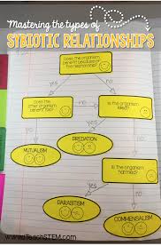 stem ecosystem relationships symbiosis interactive