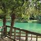 Forest Bathing at Gemini Springs event in Deltona, FL