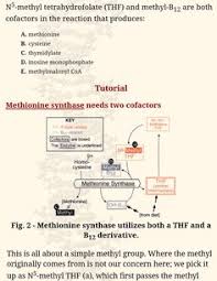 10 best vitamin b12 folate images vitamin b12 vit b12