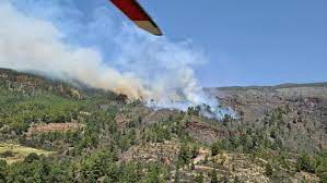 Según fuentes locales, la rápida actuación de los vecinos, que avisaron nada más darse cuenta,. Declarado Un Incendio Forestal En Arico Canarias7
