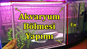 Akvaryum Bolmesi Yapimi Youtube