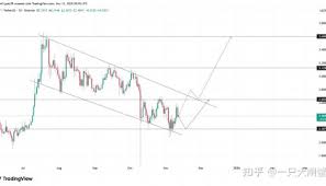 XRP-瑞波币行情_Binance交易所_国内正规的虚拟货币交易平台_ ...