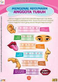 Mengenal Kegunaan Anggota Tubuh Ebook Anak