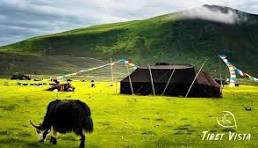 15 Pictures of Tibetan Plateau: Get Your First Impression of ...