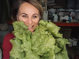 BEST podcast of the year RegenNarration with Anthony James which featured:  1. First Nations people and individuals from farming, ranching, and  research sectors. 2. Scientists, soil specialists, and energy transition  experts, 3.