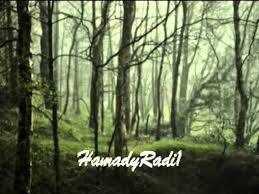 Selebat hujan yang turun mencurah membasahi bumi. Sudirman Antara Hujan Dan Airmata Chords Chordify