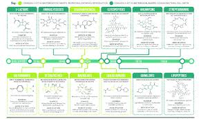 Different Antibiotic Classes At A Glance Download Scientific Diagram