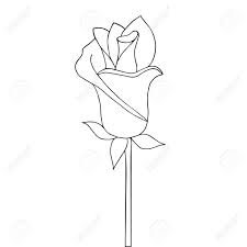 Are you looking for the best blooming rose drawing for your personal blogs, projects or designs you can find more blooming rose drawing in our search box. Blooming Rose Bud Fragrant Flower Vector Colorless Background Royalty Free Cliparts Vectors And Stock Illustration Image 136936801