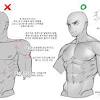 The back is subdivided into the upper, middle, and lower back. 1