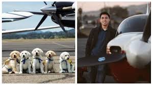 Check that you have your puppy's favorite. Young Pilot Volunteers To Fly Soon To Be Service Puppies In Training To Carlsbad Nbc 7 San Diego