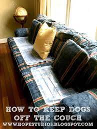 How to keep dog off bed. How I Keep My Dog Off The Couch Keep Dog Off Couch German Shorthaired Pointer Couch