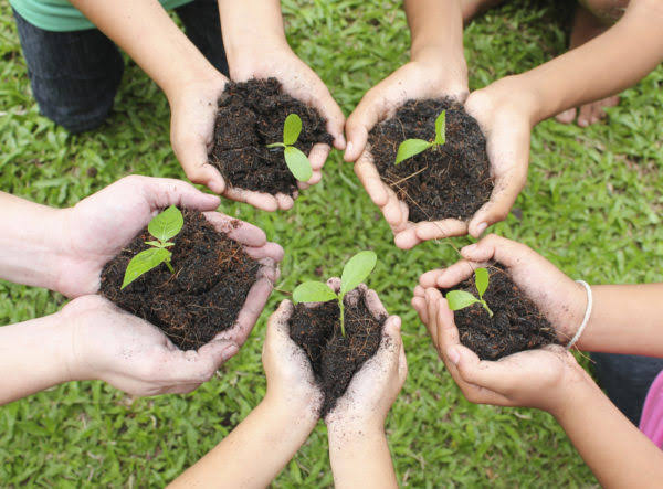 Neighbourhood Plantation Drive