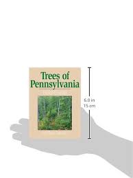 A complete reference guide in pdf and epub format. Trees Of Pennsylvania Field Guide Tree Identification Guides Tekiela Stan 9781591930471 Amazon Com Books