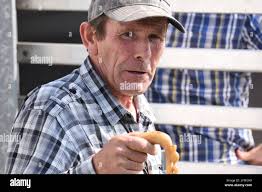 Scottish shepherd dog hi-res stock photography and images