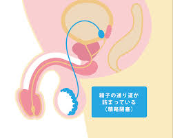銀座リプロ外科
