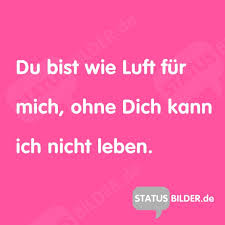 Du Bist Wie Luft Für Mich Ohne Dich Kann Ich Nicht Leben Status