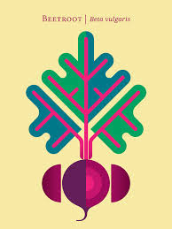 Vegetables Poster Illustrations by Christopher Dina