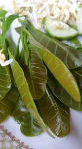 Laman bahasa melayu ini dibina pada tahun 2009 semasa saya mengajar di smka sultan azlan shah. Laksa Lelaman Pusat Rujukan Satun Bahasa Melayu Satun Facebook