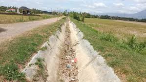 Air Irigasi Tidak Ada, Ratusan Lahan Persawahan Tidak Bisa Menanam Padi