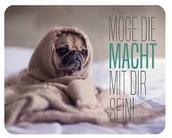Kostenlos herunterladen und sie haben tausend von süßen tierchen immer dabei. Susses Mousepad Mauspad Trauriger Hund Mops Ohne Dich Ist Alles Doof Eur 6 90 Picclick De