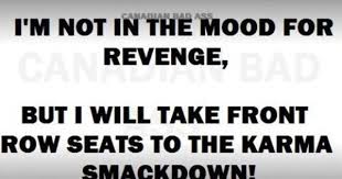 Pin By Ruth Ely On Karma Smackdown In 2020 Karma Quotes Revenge Quotes Karma